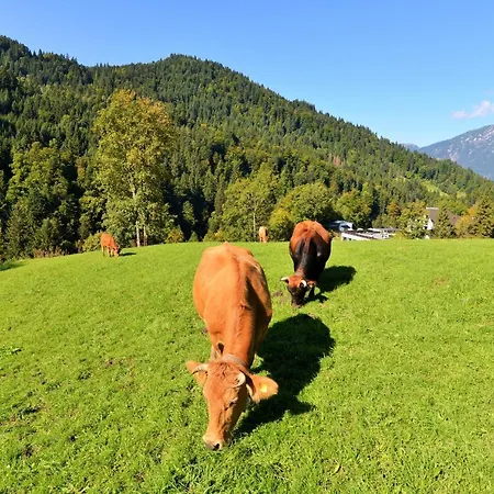 Graseck - Mountain Hideaway & Health Care 4* Garmisch-Partenkirchen