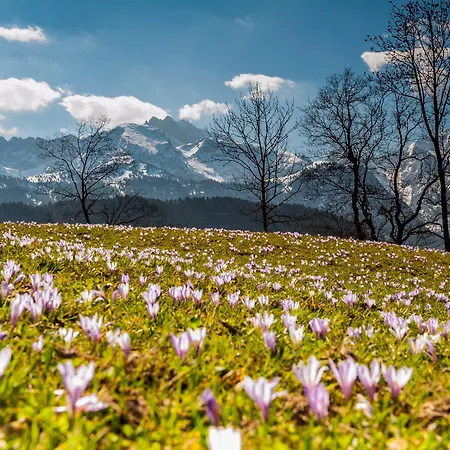 Graseck - Mountain Hideaway & Health Care 4* Гарміш-Партенкірхен