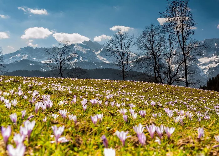 Graseck - Mountain Hideaway & Health Care 4* Гарміш-Партенкірхен